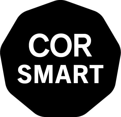 COR immediate delivery programme Smart