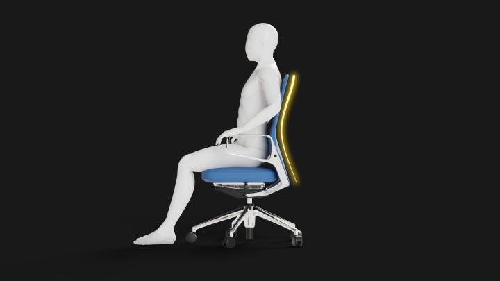 Briefly explained - The lumbar support