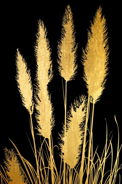 Fine Art Print, motif "Reed in Gold"